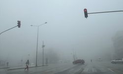 Denizli'de sis ulaşımı etkiledi