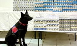 Van'da gümrük kaçağı sigara ele geçirildi