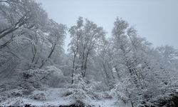 Tokat'ın yüksek kesimleri beyaza büründü
