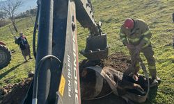 Kuyuya düşen inek itfaiye ekiplerince kurtarıldı