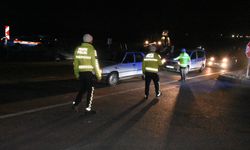 Araç çarptı: Çok sayıda safkan Arap tayı telef oldu