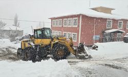 Hakkari'de kar çilesi: Köy yolları kapandı!