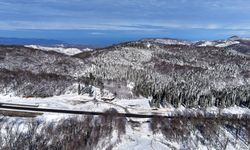 Karadeniz'in kar ve soğuk hava etkili oluyor