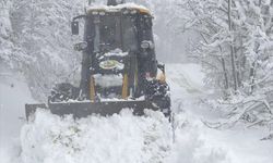 Karabük'te 112 köy yolunun 86'sı açıldı