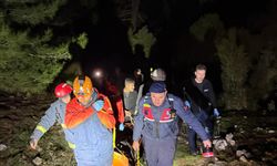 Mantar toplamak için ormanlık alana gitmişti: Acı haber geldi!