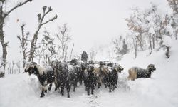 Kar yolları kapadı: Mahsur kalan besicilerin yardımına ekipler yetişti!