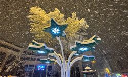 Artvin'de kar yağışı etkili oldu