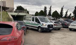 Cipin çarptığı yaya hayatını kaybetti