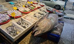 Yaklaşık 3 tonluk orkinos vatandaşların ilgi odağı oldu