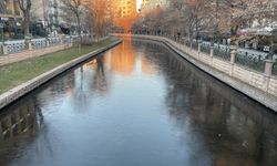 Porsuk Çayı'nın yüzeyinde buz tabakası oluştu