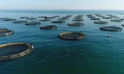 Su ürünleri avcılığı sözleşmeli üretim kapsamına alındı