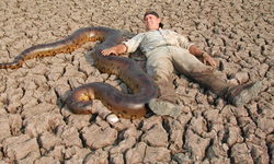 Eskiden anakonda yılanlarının büyüklüğü ne kadardı?