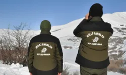 Hakkâri’de yasa dışı avcılığa unutulmaz para cezası!