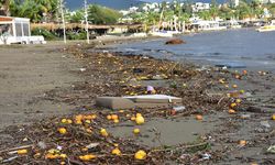 Bodrum'da denize sürüklenen atıklar kıyıya vurdu!