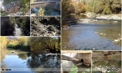 Çermikliler: Yıllarca ilçenin su kaynağı olan sinek çayı şimdi çevreye hastalık yayıyor