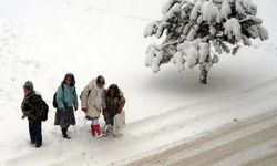 Batman'da eğitime kar engeli
