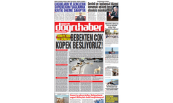 Türkiye’nin Acı Gerçeği: Bebekten Çok Köpek Besliyoruz!