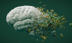 Beyni yoran 6 gıda açıklandı! Kesinlikle tüketilmemeli..