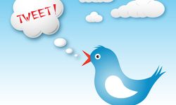 Mavi kuş operasyonu başlıyor