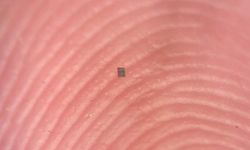 Algılıyor, düşünüyor, hareket ediyor! Neredeyse çıplak gözle görülmeyecek kadar küçük robot