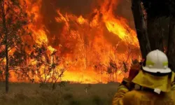 Avustralya orman yangınlarıyla mücadele ediyor