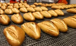 Türkiye'de israf edilen ekmek sayısı dudak uçuklattı!