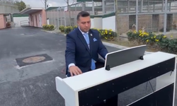 İnsan canına kasteden köpeklere piyano resitali!