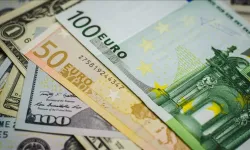 Dolar, euro kurunda son durum