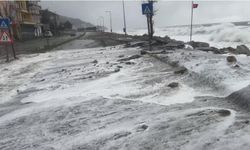Dev dalgalar sahil şeridine zarar verdi