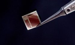 Beyinden bilgisayara veri aktaran süper ince çip