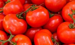Yediğimiz domateslerin tohumları 'israile' mi ait?