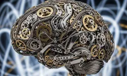 Yüksek zekaya sahip kişilerin özellikleri nelerdir?