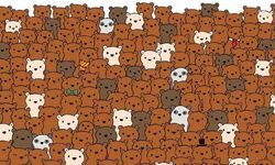 Görsel zeka yeteneğini test et: Görseldeki 3 Hindistan cevizini bulabilecek kadar iyi bir gözlemci misin?