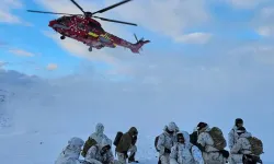 Grönland'da tatbikat düzenlendi!