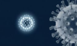 Uzmanlar uyardı: H3N2 Türkiye'de yayılıyor