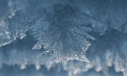 Dünyanın en büyük çölünde şaşırtan buz yokluğu