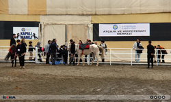 Diyarbakır’a yeni sağlık ve rehabilitasyon merkezinde yeni birim açıldı!