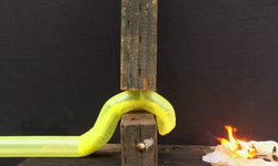 Enkaz altı kurtarma için sarmaşık gibi büyüyen robot