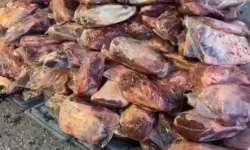 Kırşehir’de 6,1 ton kaçak ve bozulmuş et ele geçirildi: 3 gözaltı