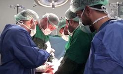 25 santimetrelik dev kist başarıyla alındı