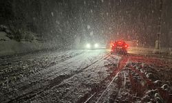 Kar yağışı 17 yolu ulaşıma kapattı!