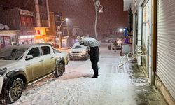Van'da kar yağışı