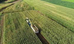 164 yatırımcıya kırsal kalkınma desteği