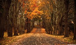 Türkiye en sıcak Kasımlarından birini yaşadı