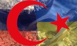 Macaristan: Ukrayna için Türkiye ile işbirliği halindeyiz