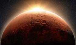 Mars'ta dev kelebek görüntüsü