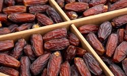 Türkiye'den Filistin'e hurmada kota desteği