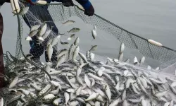 Su ürünleri avcılığında yeni dönem başlıyor!