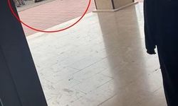 Okul müdürüyle ilgili inceleme başlatıldı: Öğrenciyi yere fırlattı!