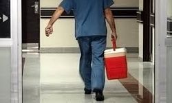e-Nabız'dan organ bağışında bulunan kişi sayısı açıklandı